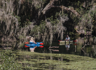 Blue Springs State Park | I-95 Exit Guide