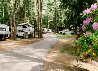 Wild Duck Campground