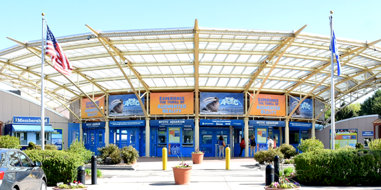 mystic aquarium virtual tour