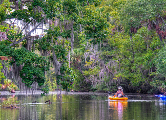 Daytona Beach Outdoors | I-95 Exit Guide