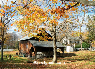 Delaware Fall Foliage | I-95 Exit Guide