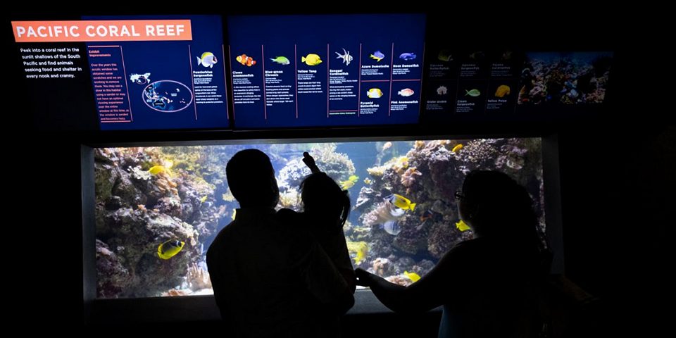 National Aquarium | Baltimore, Maryland | I-95 Exit Guide